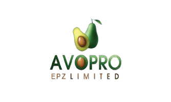 avopro logo